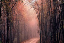 [法甲]一组数据看新赛季法甲新形势.