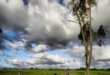 NBA:哈登31分10篮板7助攻 黄蜂88-123快船.