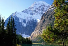 海星体育:太快了没有闪,巴舒亚伊走近法兰克福吉祥物时被“袭击”.